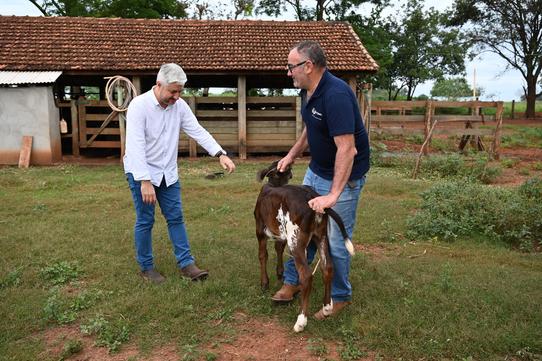 Itaquira&iacute; investe em melhoramento gen&eacute;tico para fortalecer a pecu&aacute;ria leiteira e a agricultura familiar