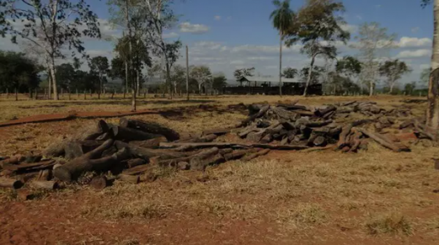 Em um ano&comma; desmatamento cresce 15&percnt; no Pantanal
