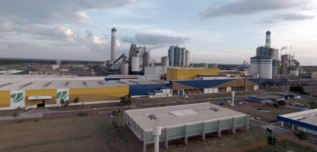 Suzano atinge marca de 30 milh&otilde;es de toneladas de celulose produzidas em unidade de MS