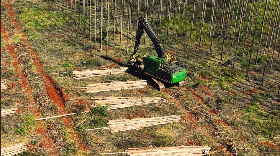 Chapadão do Sul recebe, nos dias 27 e 28 de agosto, inscrições para qualificação gratuita de operadores e mecânicos florestais