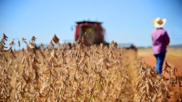 Super El Niño pode pressionar inflação e afetar economia de Mato Grosso do Sul, alerta economista
