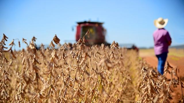 Super El Niño pode pressionar inflação e afetar economia de Mato Grosso do Sul, alerta economista