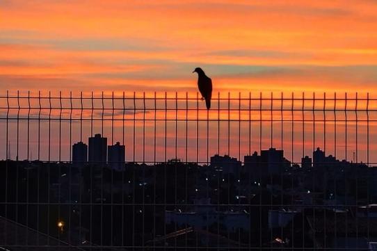 Calor e chuva predominam nesta sexta-feira de ver&atilde;o em MS