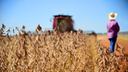 Super El Niño pode pressionar inflação e afetar economia de Mato Grosso do Sul, alerta economista