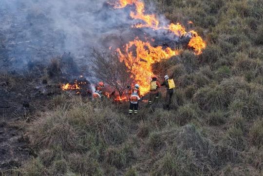 Inc&ecirc;ndio com devasta&ccedil;&atilde;o de 333 mil hectares resulta em multa de R&dollar; 100 milh&otilde;es&comma; no Pantanal