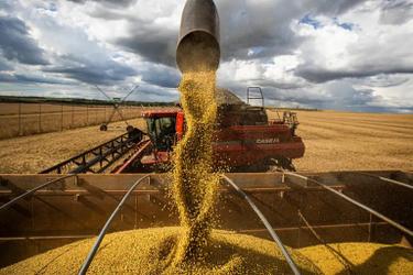 Brasil bate recorde histórico na safra de grãos 2024/25, com 350,2 milhões de toneladas
